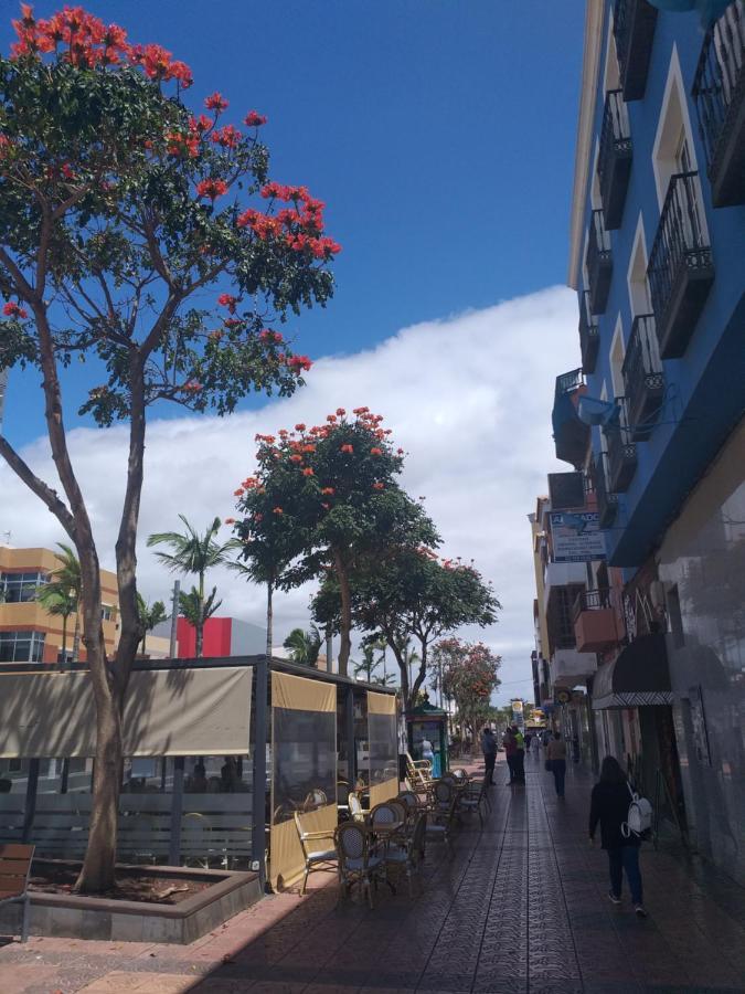 Cosy & Vecindario * Vecindario (Gran Canaria)